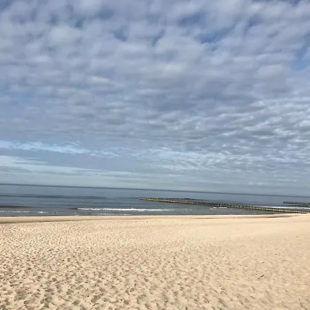 Golden Baltic *